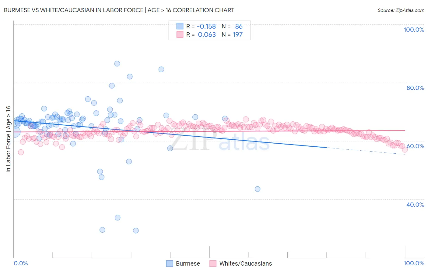 Burmese vs White/Caucasian In Labor Force | Age > 16