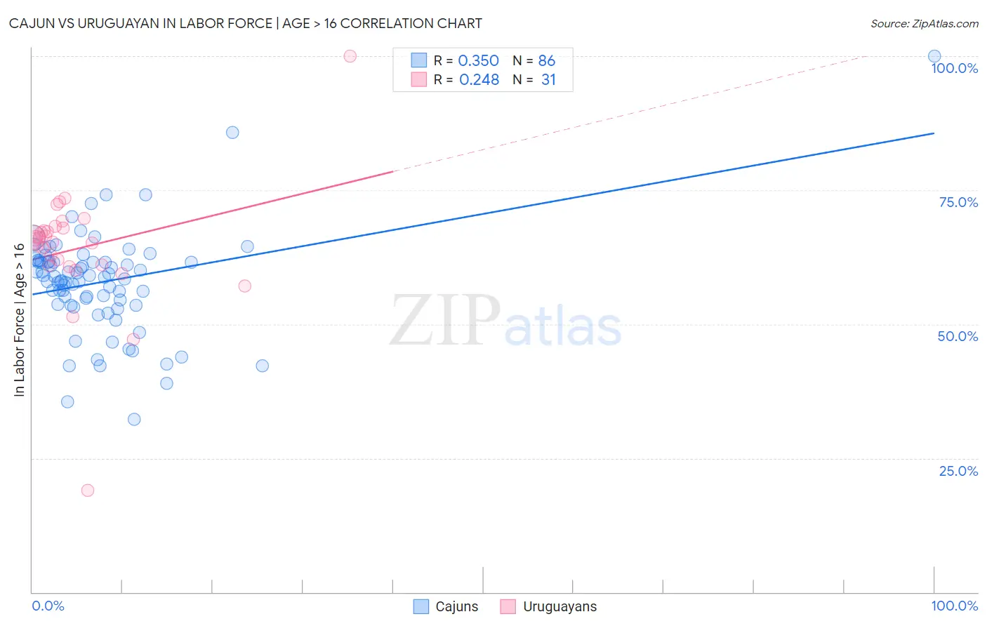 Cajun vs Uruguayan In Labor Force | Age > 16