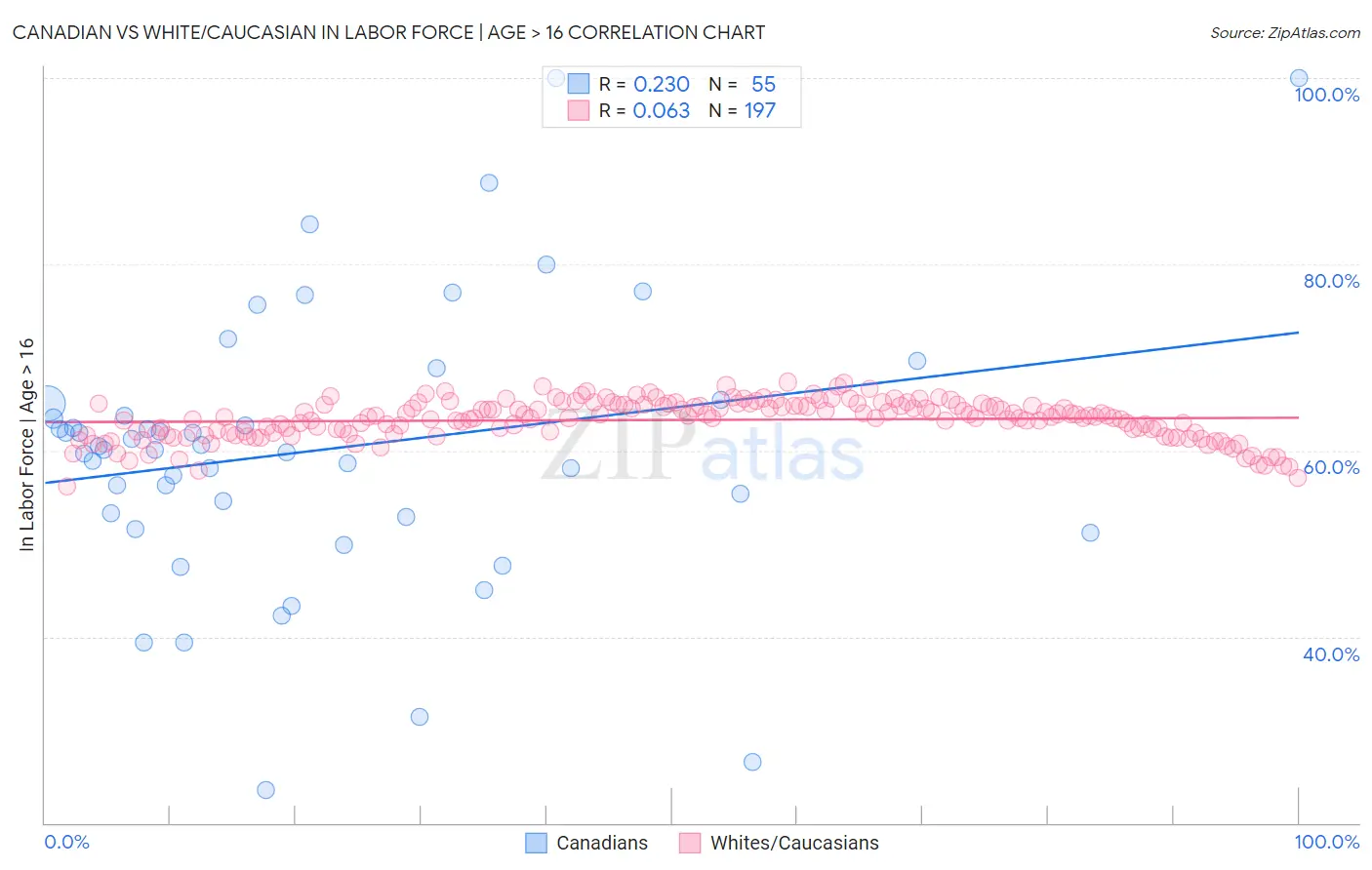 Canadian vs White/Caucasian In Labor Force | Age > 16