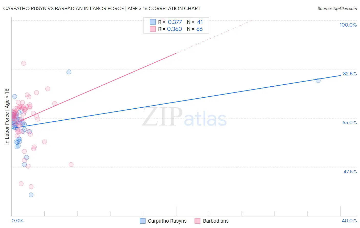 Carpatho Rusyn vs Barbadian In Labor Force | Age > 16