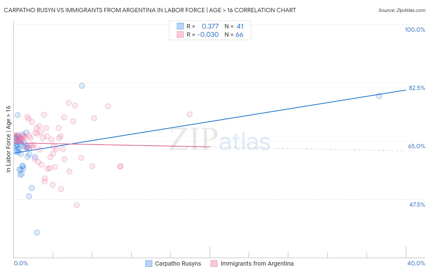 Carpatho Rusyn vs Immigrants from Argentina In Labor Force | Age > 16