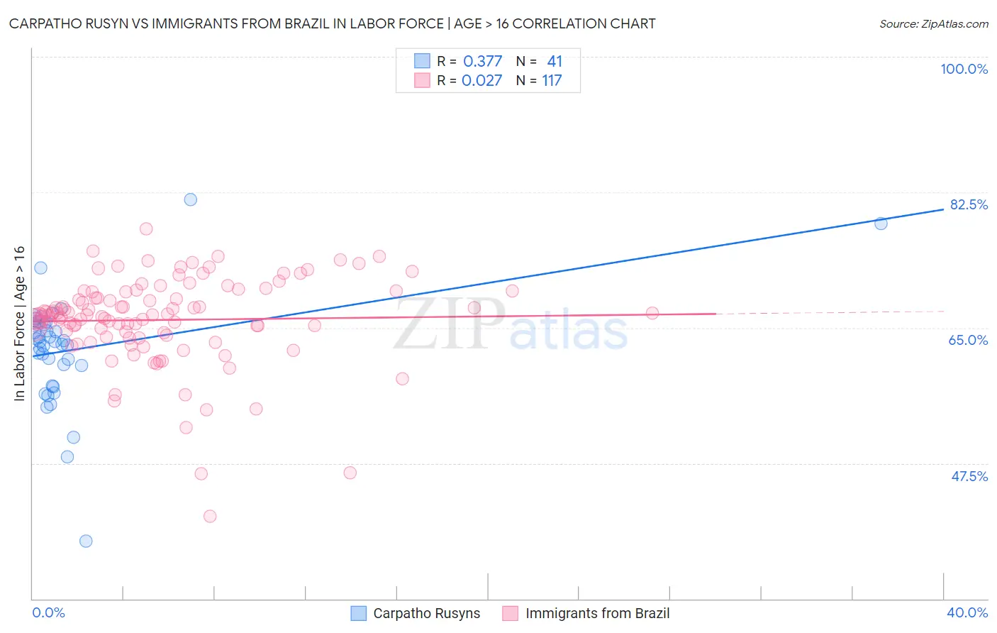 Carpatho Rusyn vs Immigrants from Brazil In Labor Force | Age > 16