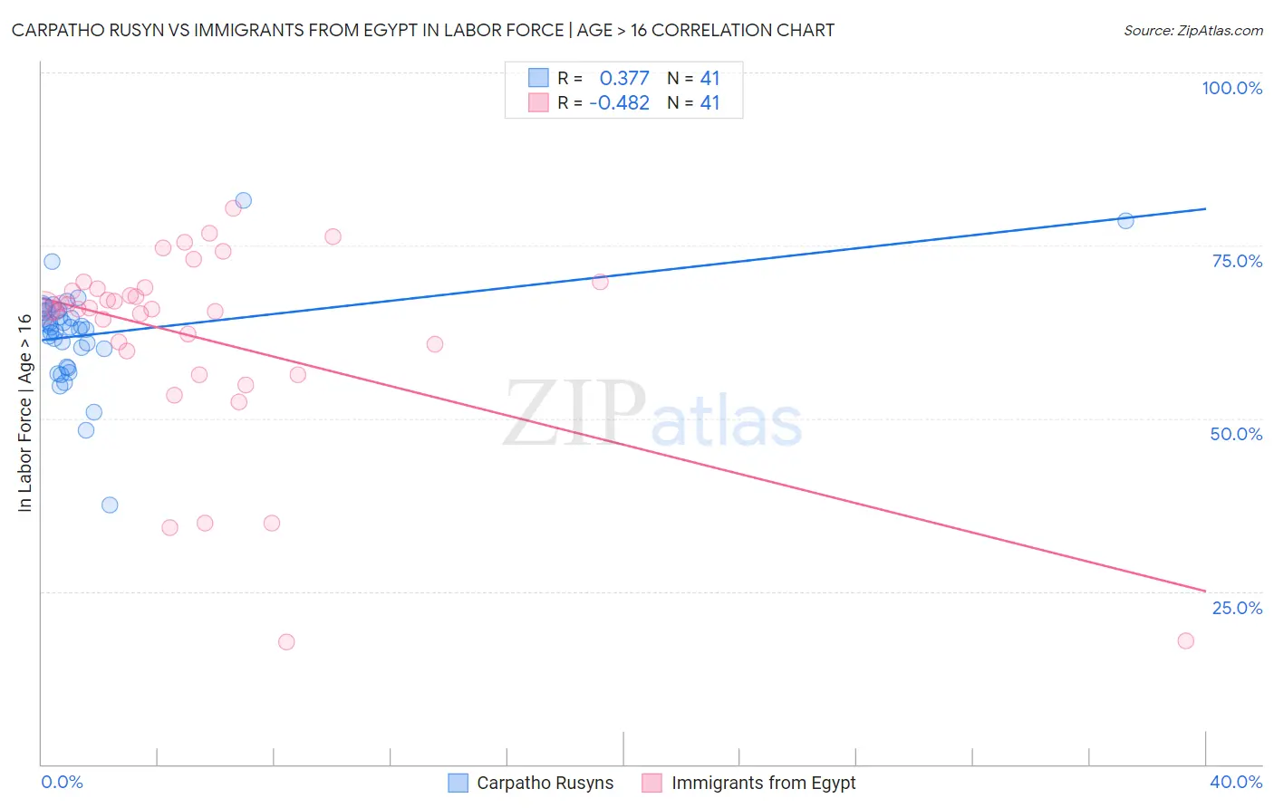 Carpatho Rusyn vs Immigrants from Egypt In Labor Force | Age > 16