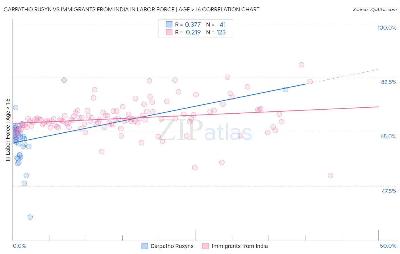 Carpatho Rusyn vs Immigrants from India In Labor Force | Age > 16