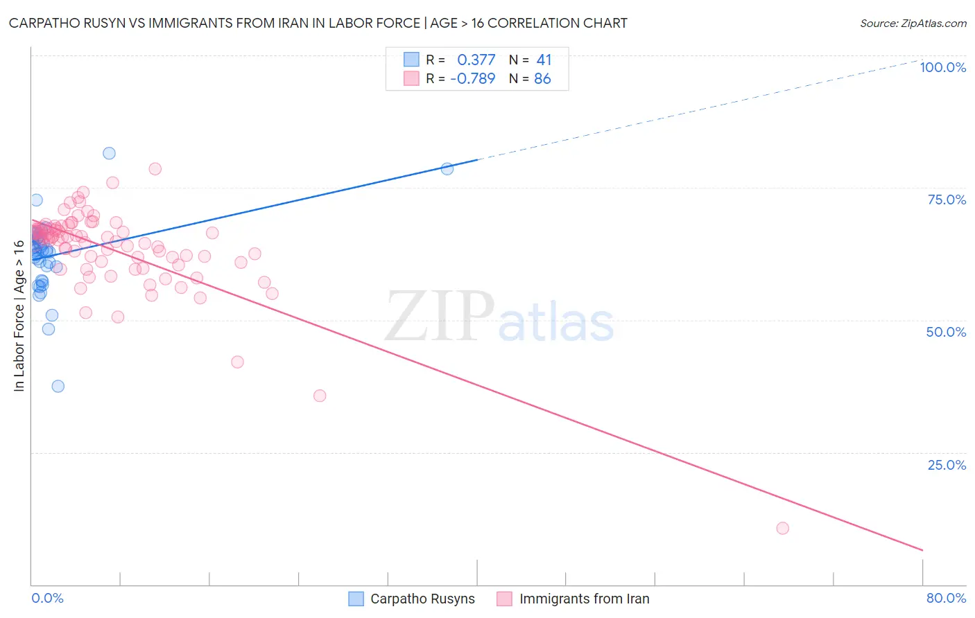 Carpatho Rusyn vs Immigrants from Iran In Labor Force | Age > 16