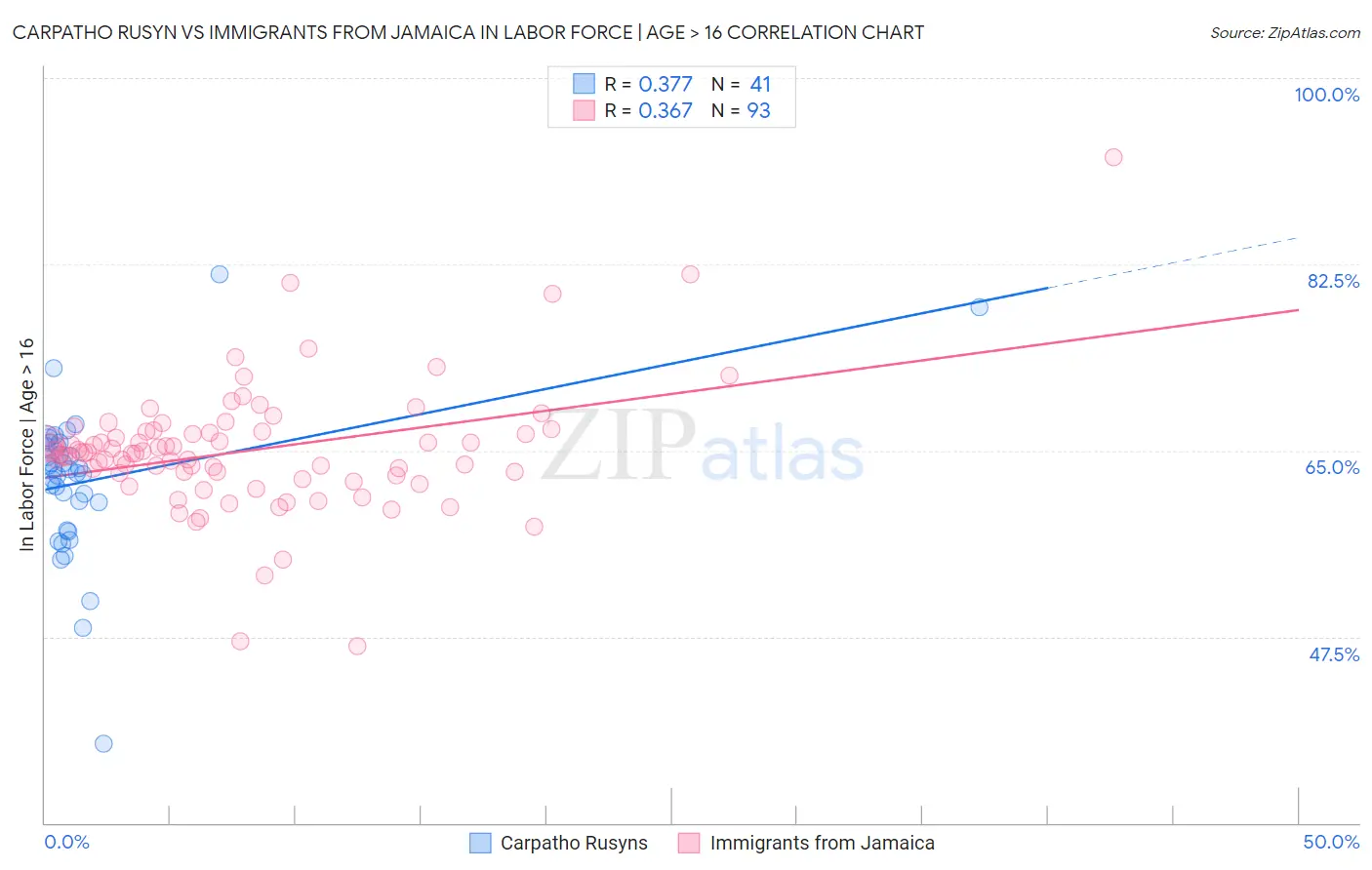 Carpatho Rusyn vs Immigrants from Jamaica In Labor Force | Age > 16