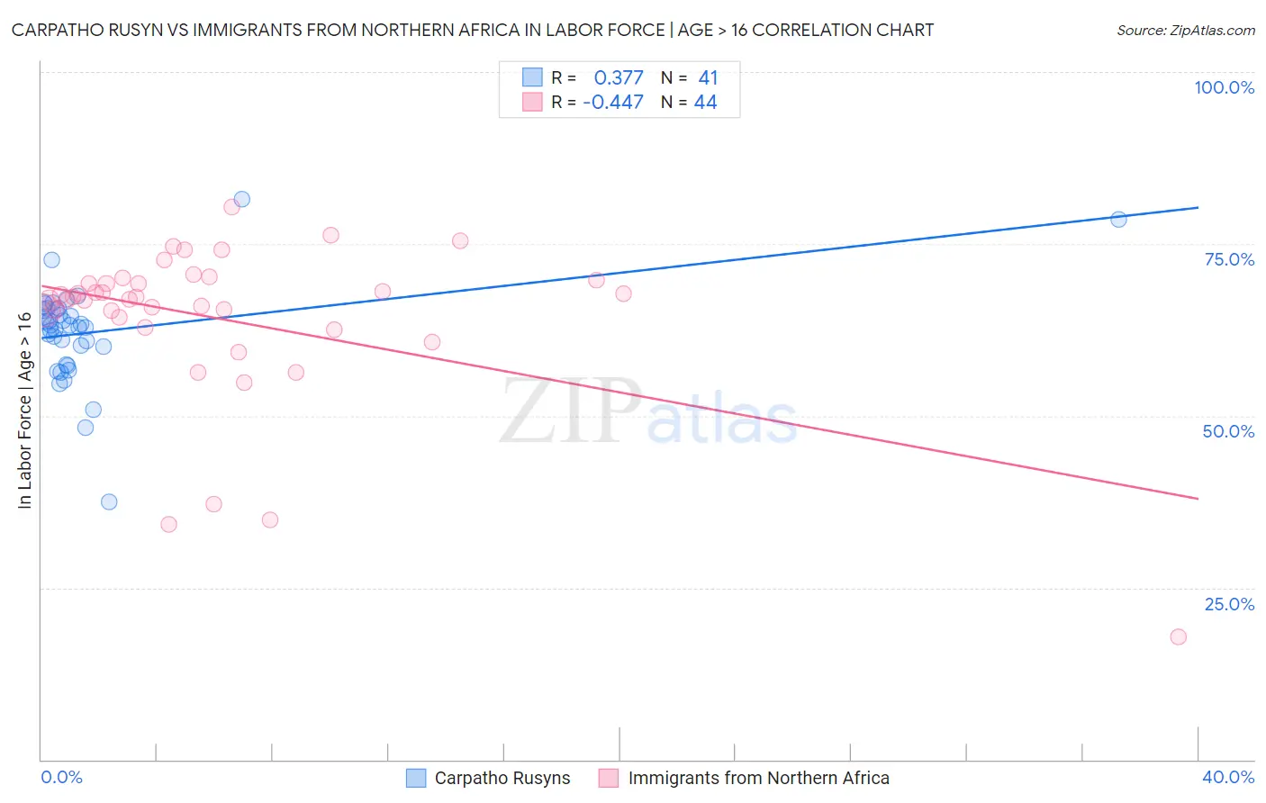 Carpatho Rusyn vs Immigrants from Northern Africa In Labor Force | Age > 16