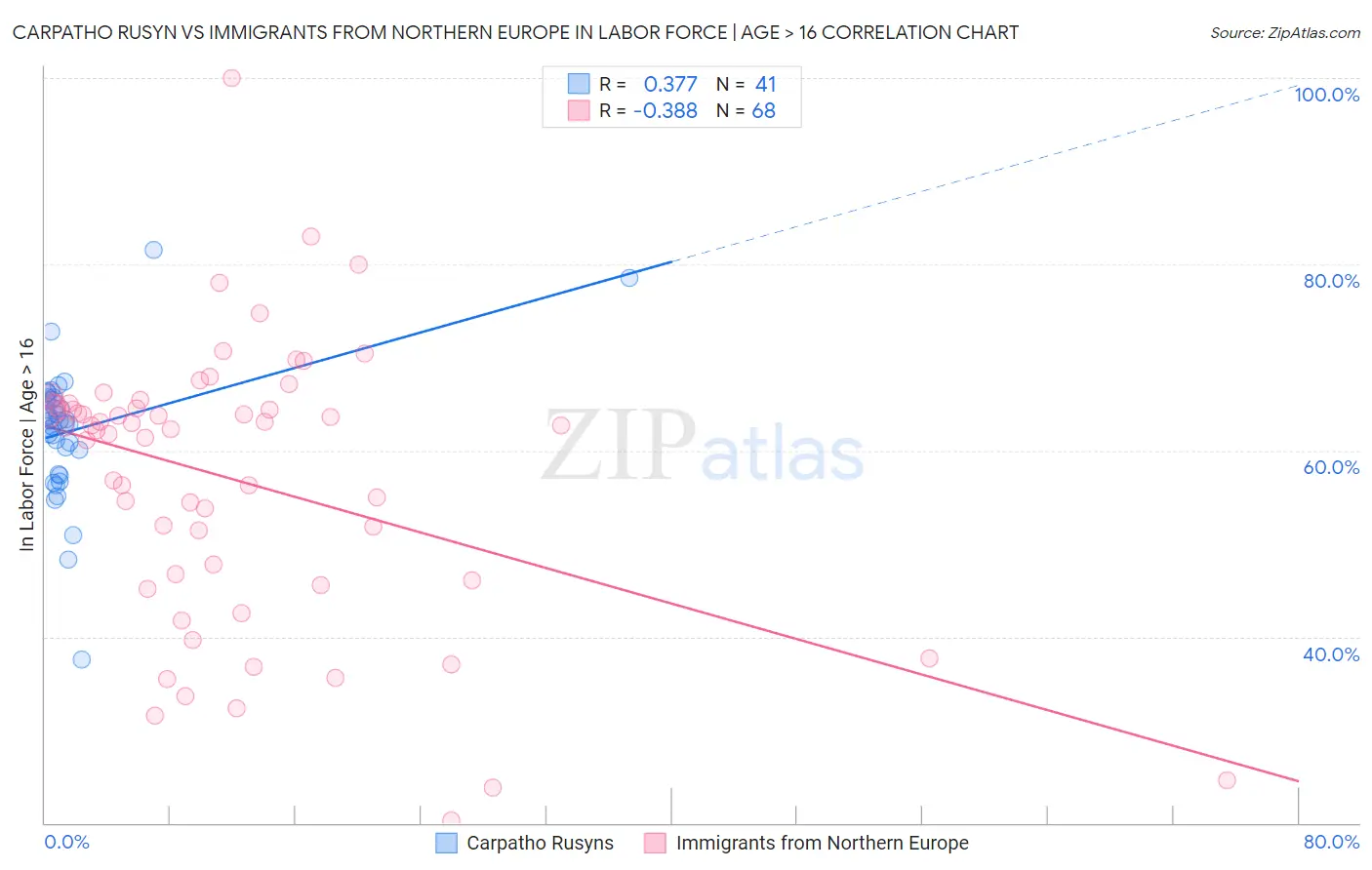 Carpatho Rusyn vs Immigrants from Northern Europe In Labor Force | Age > 16