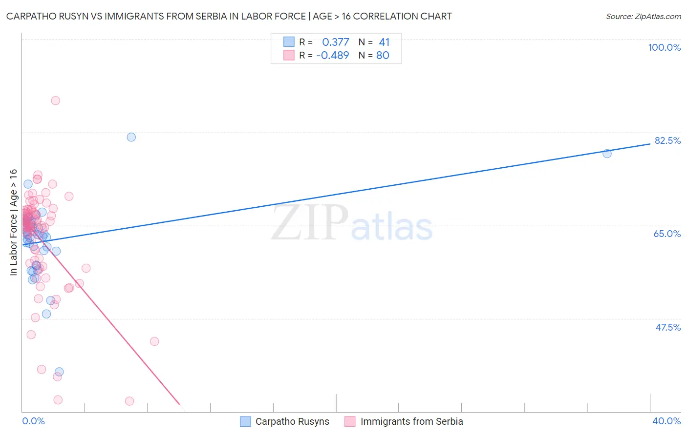 Carpatho Rusyn vs Immigrants from Serbia In Labor Force | Age > 16