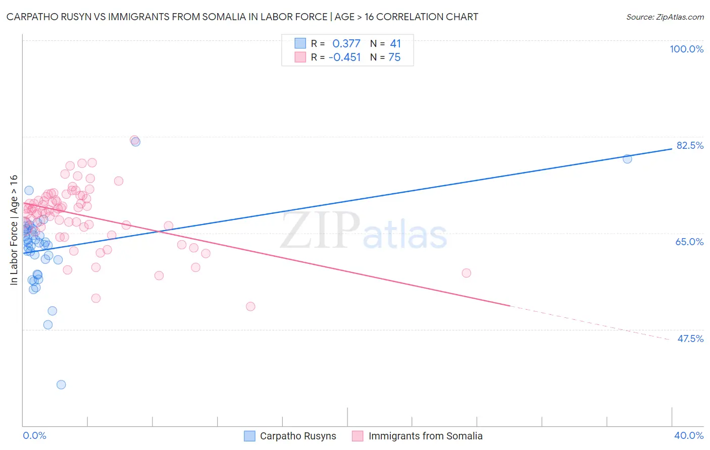 Carpatho Rusyn vs Immigrants from Somalia In Labor Force | Age > 16