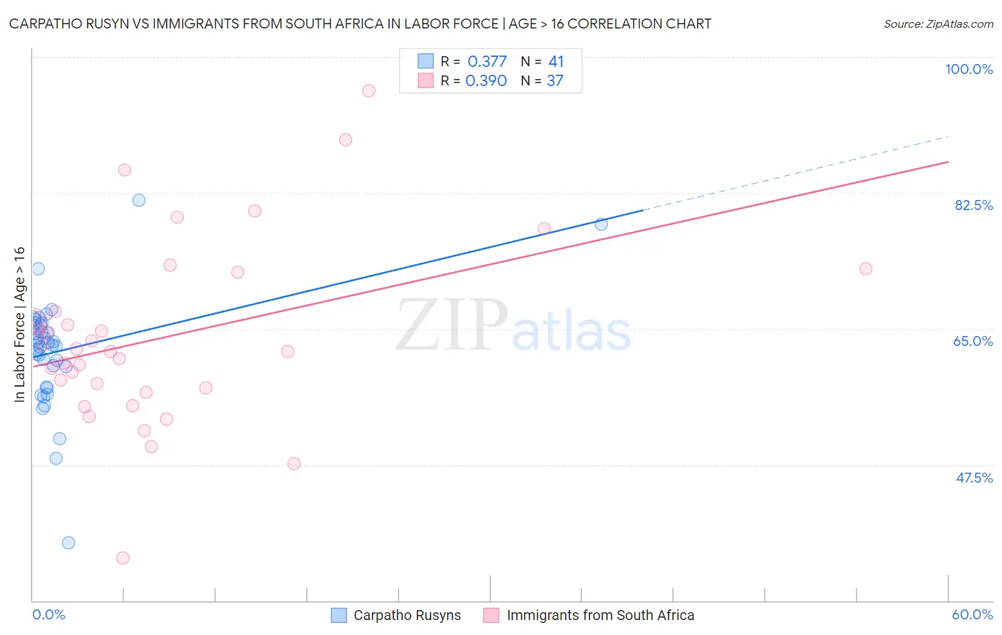 Carpatho Rusyn vs Immigrants from South Africa In Labor Force | Age > 16