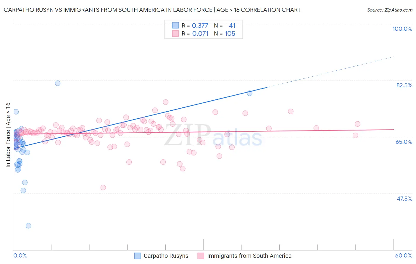 Carpatho Rusyn vs Immigrants from South America In Labor Force | Age > 16