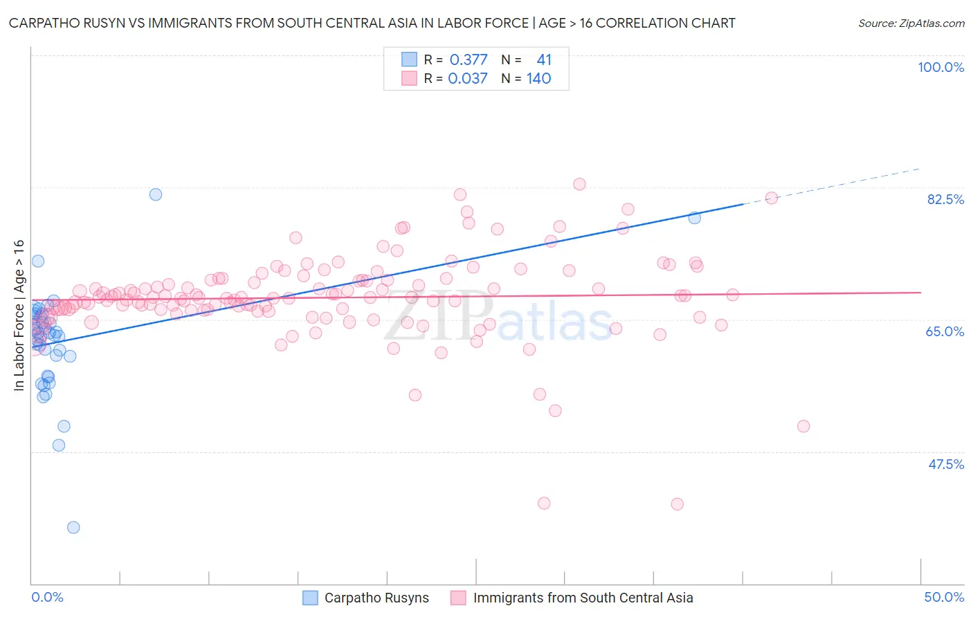 Carpatho Rusyn vs Immigrants from South Central Asia In Labor Force | Age > 16