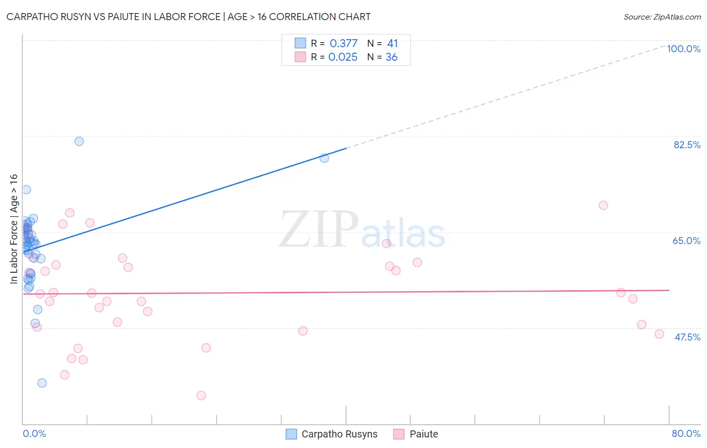 Carpatho Rusyn vs Paiute In Labor Force | Age > 16