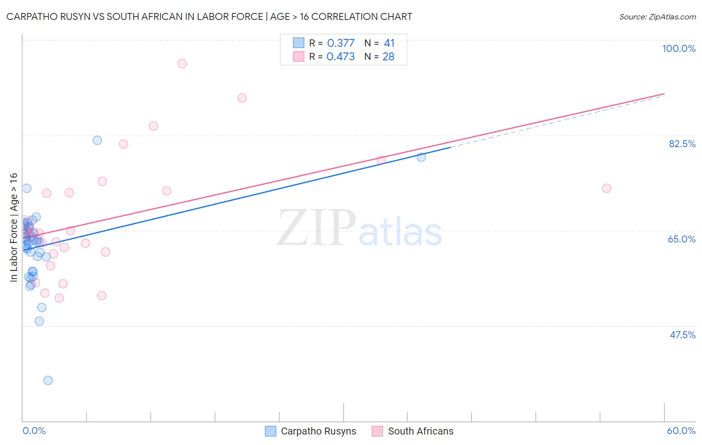 Carpatho Rusyn vs South African In Labor Force | Age > 16