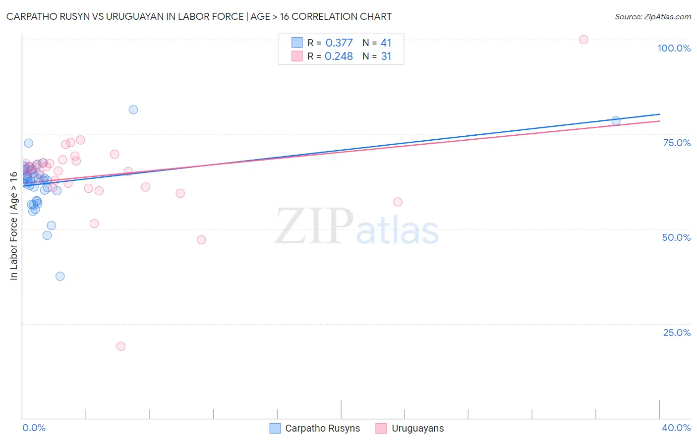 Carpatho Rusyn vs Uruguayan In Labor Force | Age > 16