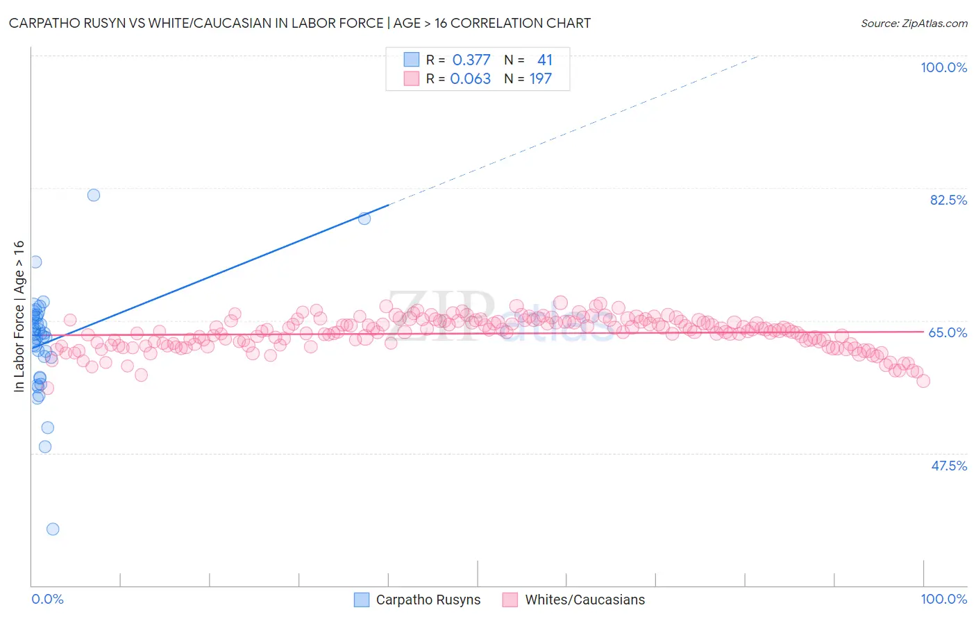 Carpatho Rusyn vs White/Caucasian In Labor Force | Age > 16