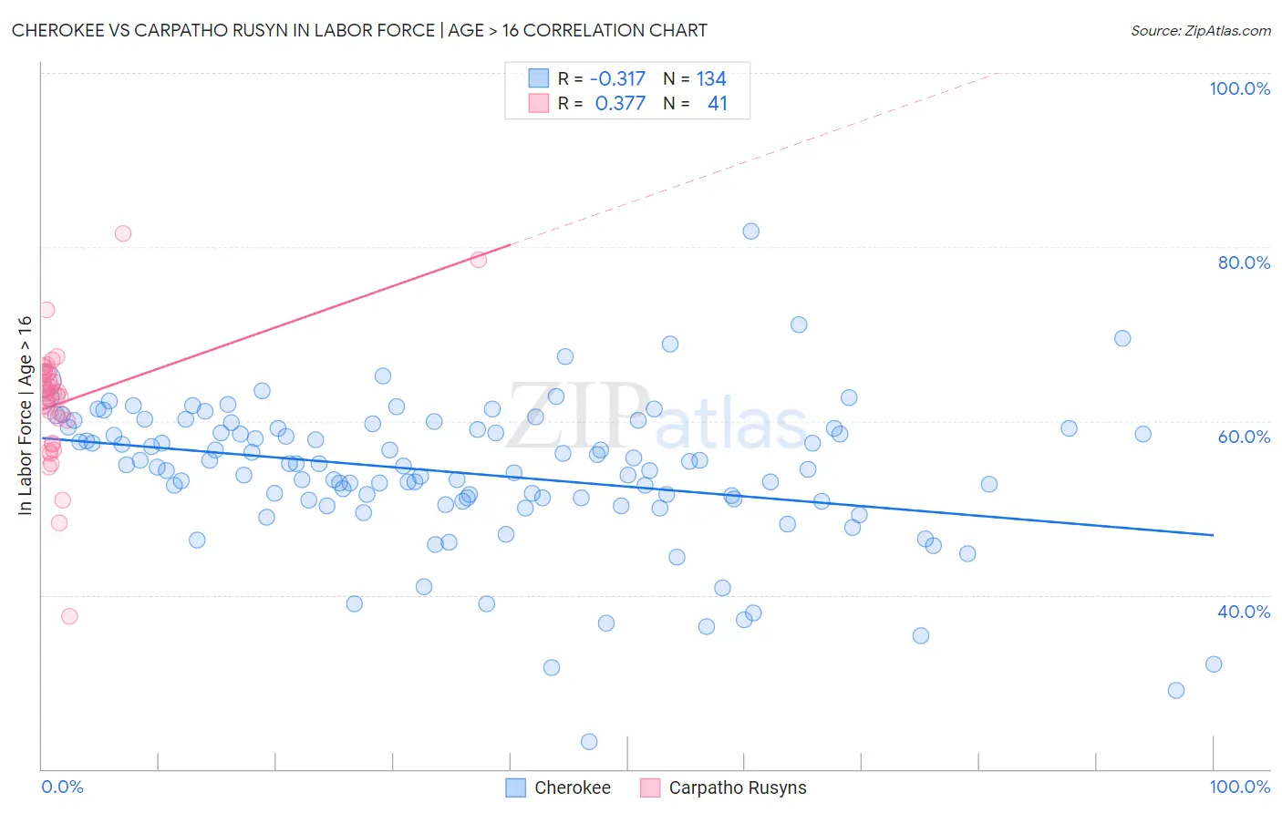 Cherokee vs Carpatho Rusyn In Labor Force | Age > 16