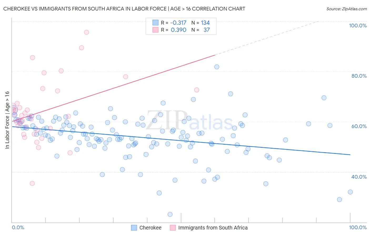 Cherokee vs Immigrants from South Africa In Labor Force | Age > 16