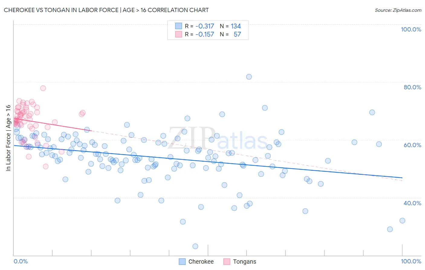 Cherokee vs Tongan In Labor Force | Age > 16
