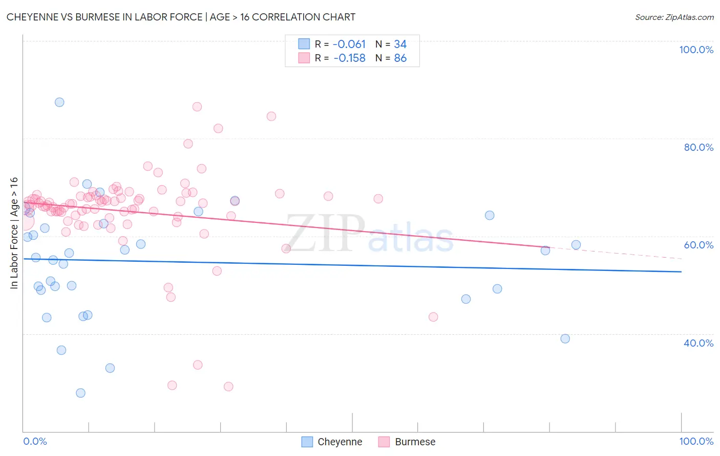 Cheyenne vs Burmese In Labor Force | Age > 16
