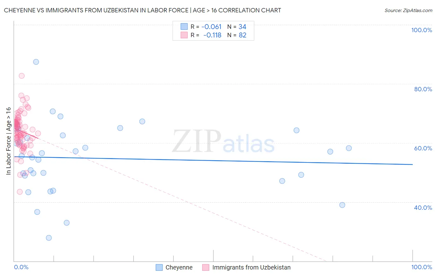 Cheyenne vs Immigrants from Uzbekistan In Labor Force | Age > 16