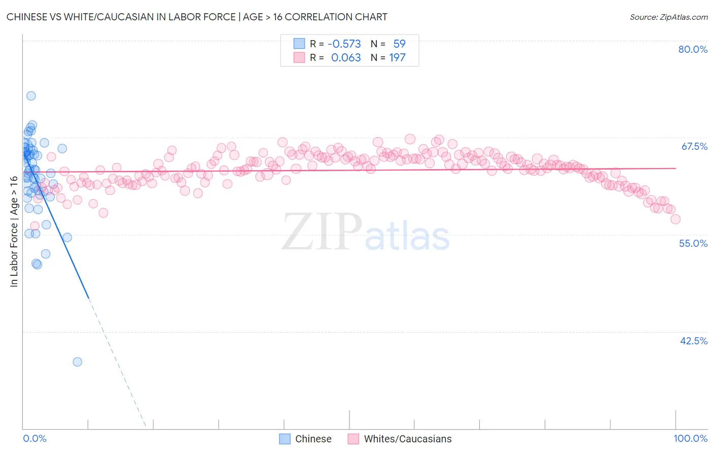 Chinese vs White/Caucasian In Labor Force | Age > 16