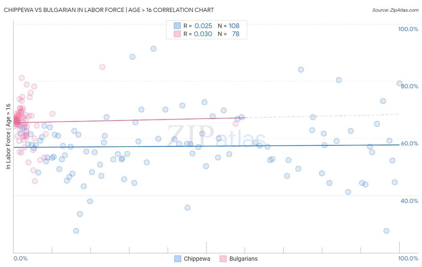 Chippewa vs Bulgarian In Labor Force | Age > 16