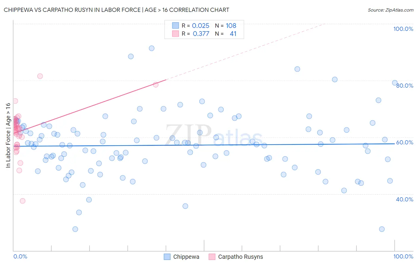 Chippewa vs Carpatho Rusyn In Labor Force | Age > 16