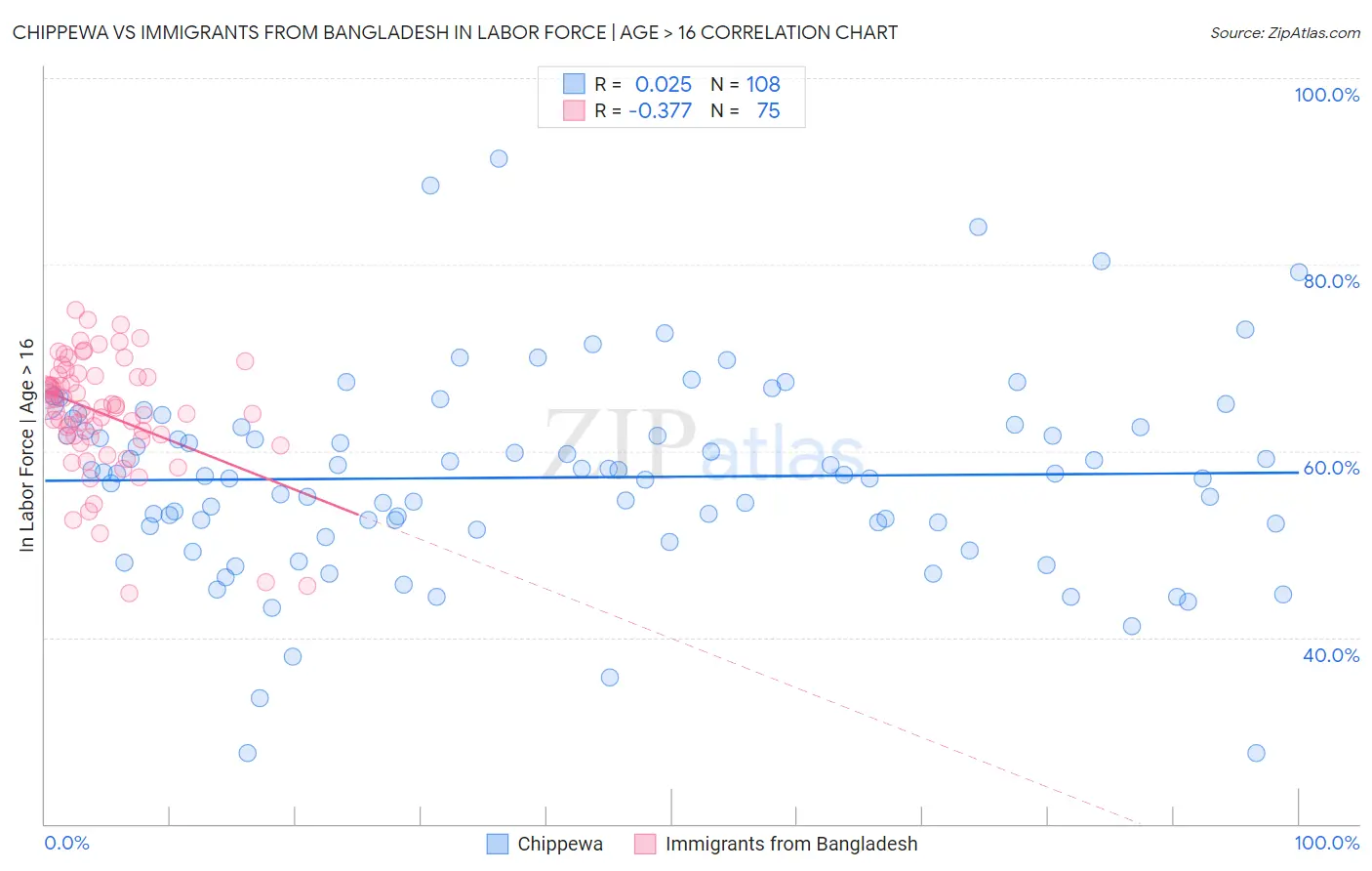 Chippewa vs Immigrants from Bangladesh In Labor Force | Age > 16