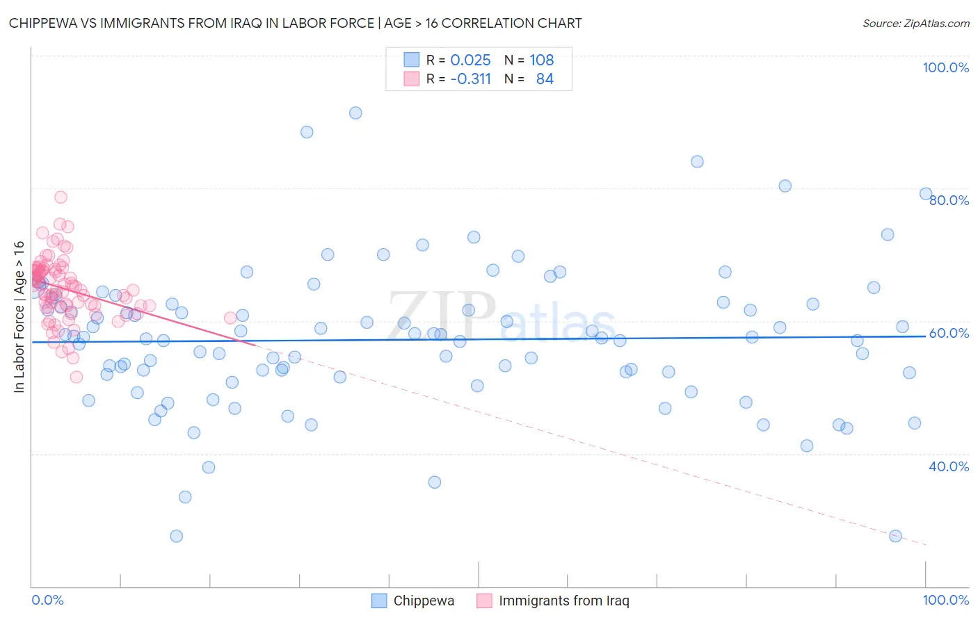 Chippewa vs Immigrants from Iraq In Labor Force | Age > 16