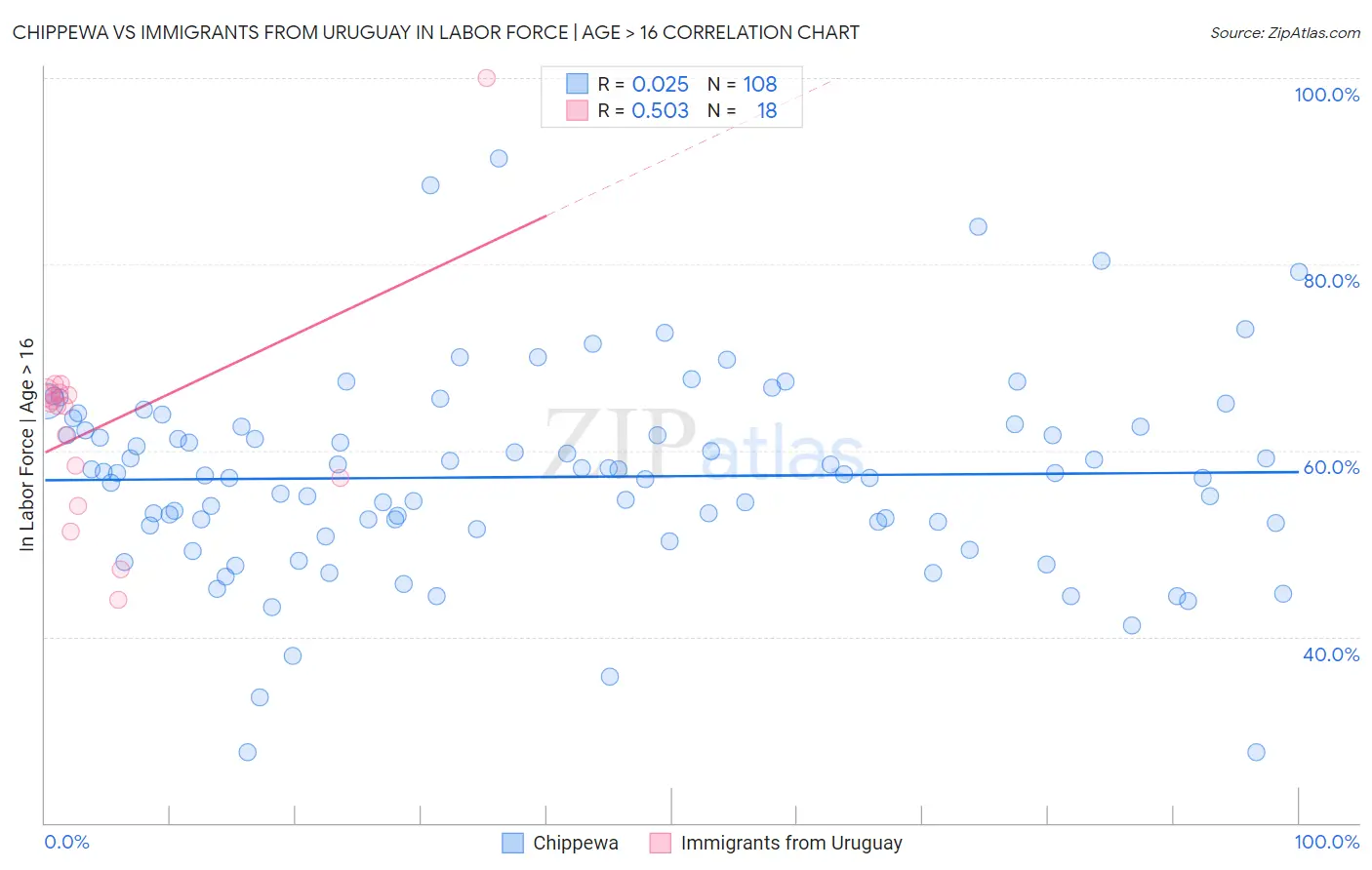 Chippewa vs Immigrants from Uruguay In Labor Force | Age > 16
