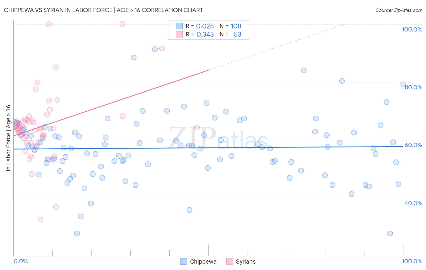 Chippewa vs Syrian In Labor Force | Age > 16