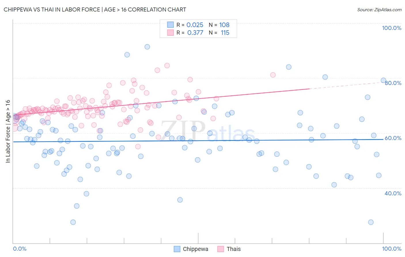 Chippewa vs Thai In Labor Force | Age > 16