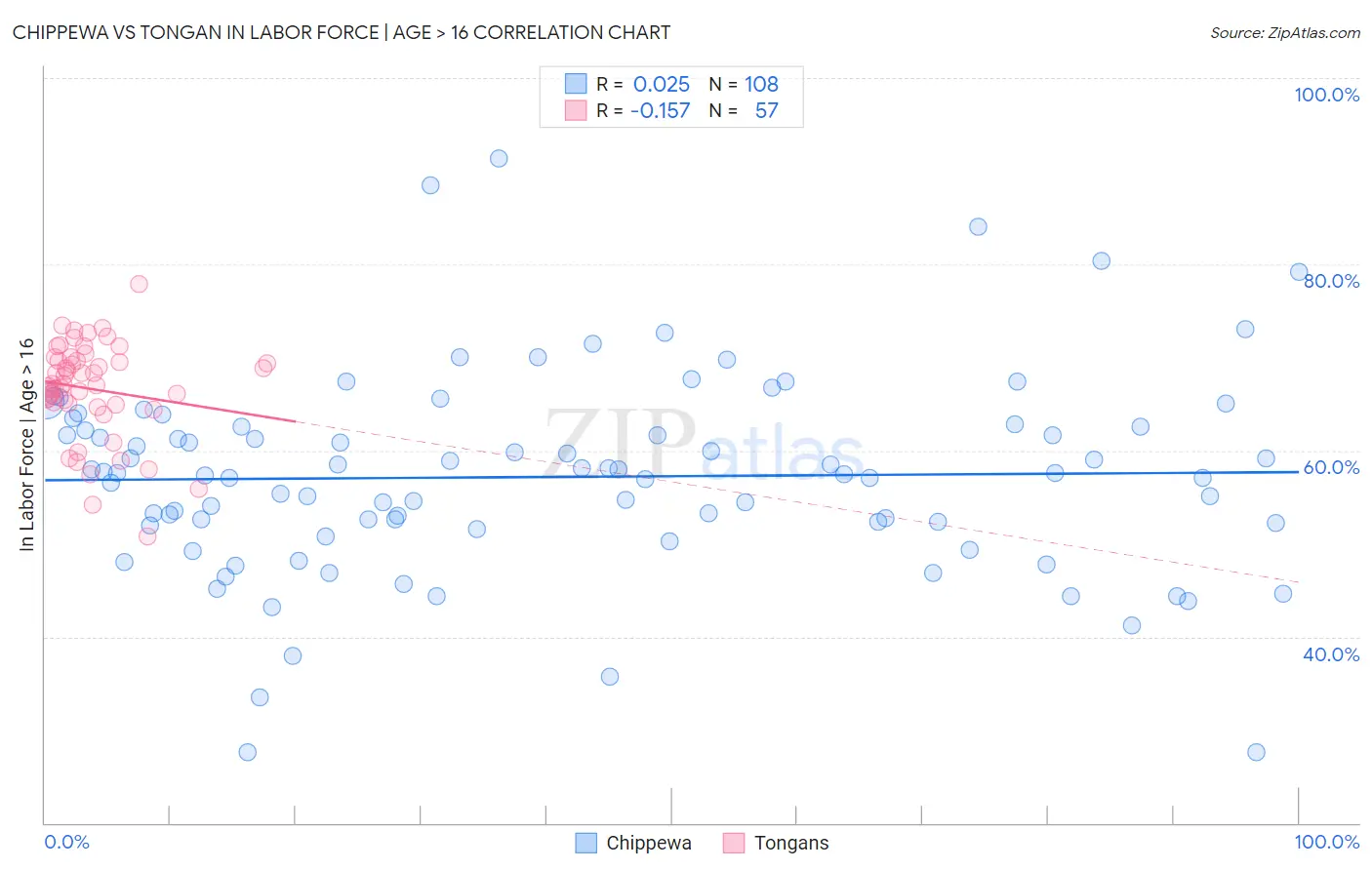 Chippewa vs Tongan In Labor Force | Age > 16