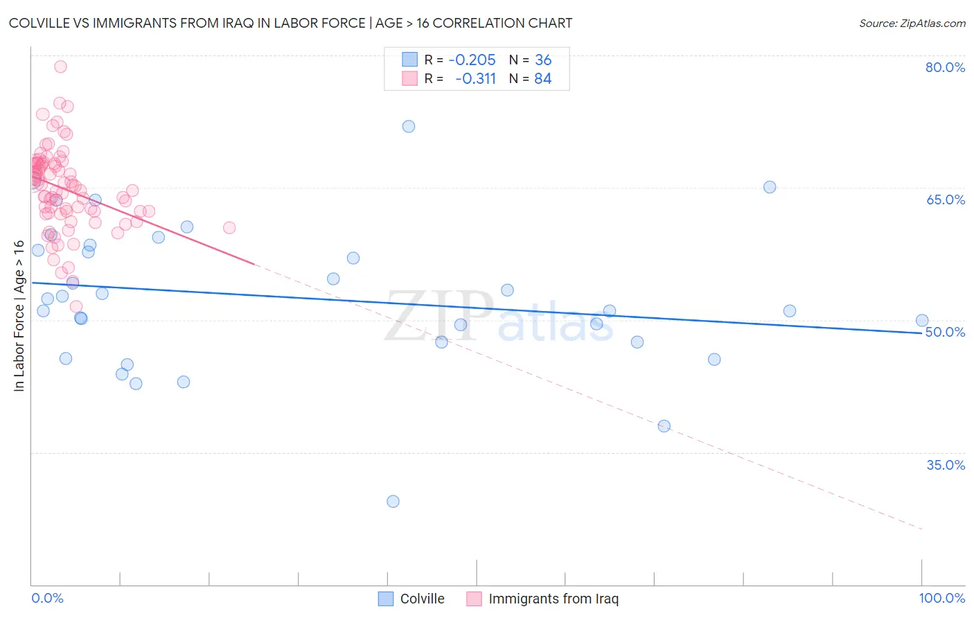 Colville vs Immigrants from Iraq In Labor Force | Age > 16