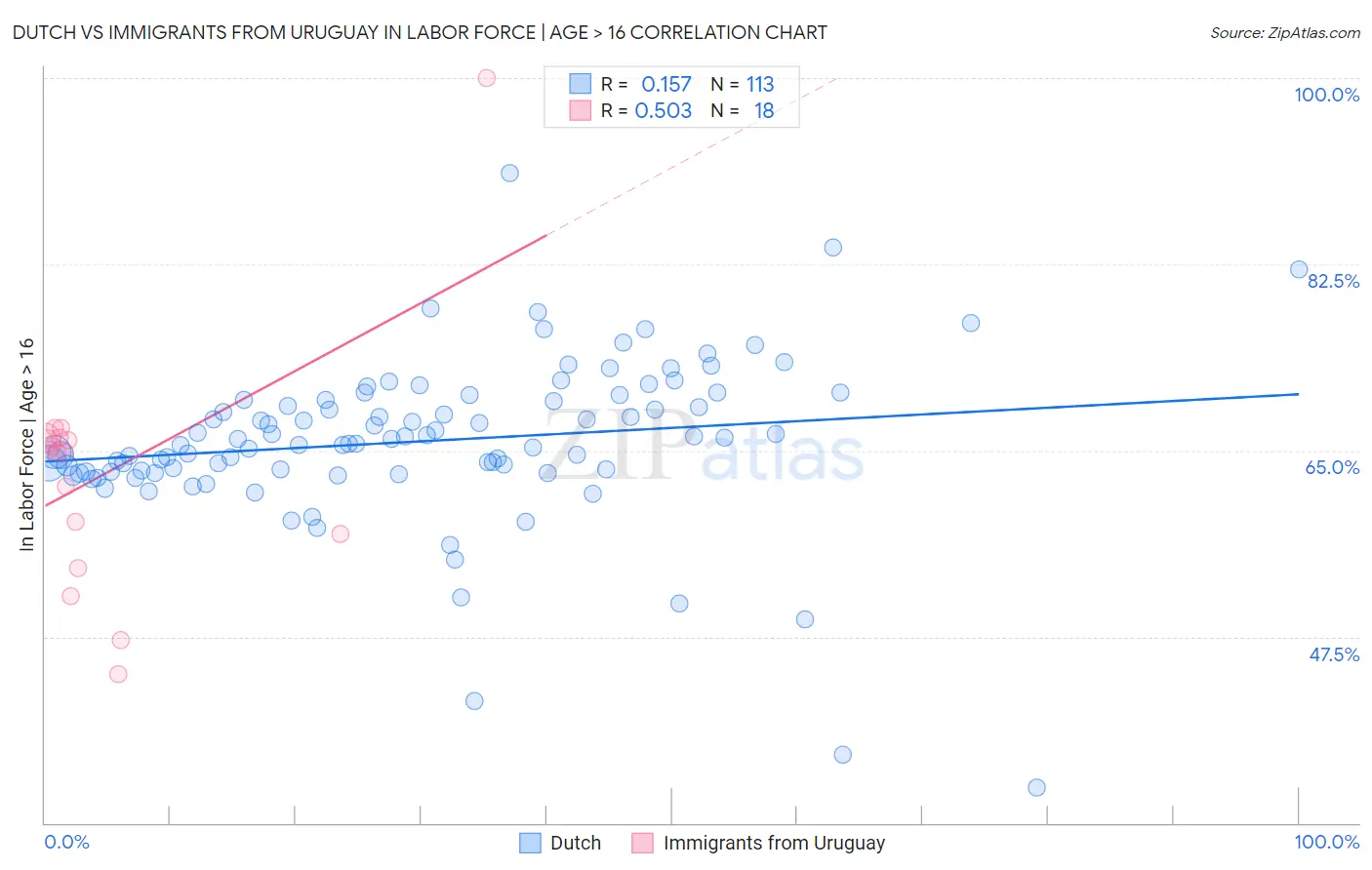 Dutch vs Immigrants from Uruguay In Labor Force | Age > 16