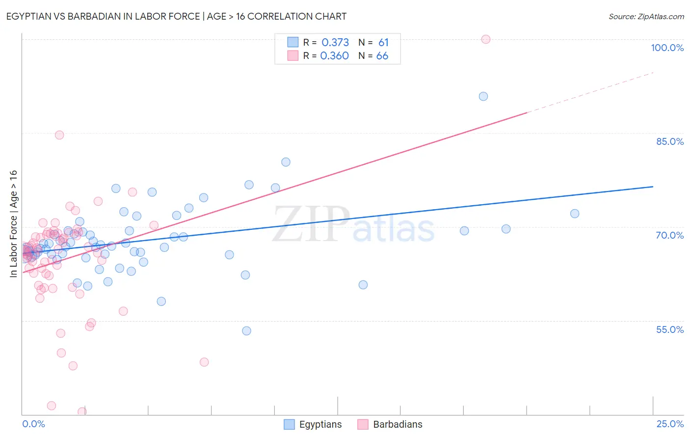 Egyptian vs Barbadian In Labor Force | Age > 16
