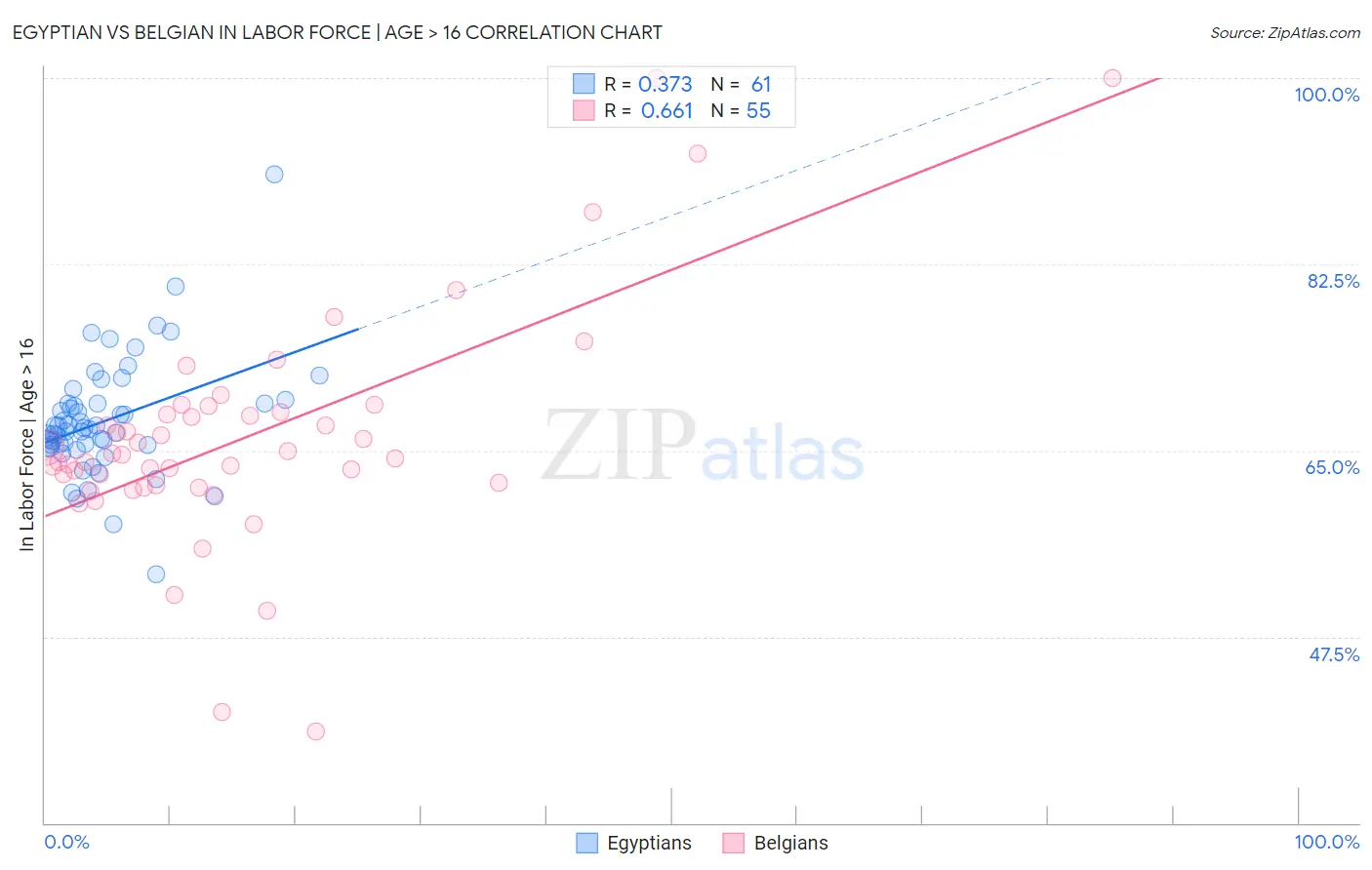 Egyptian vs Belgian In Labor Force | Age > 16