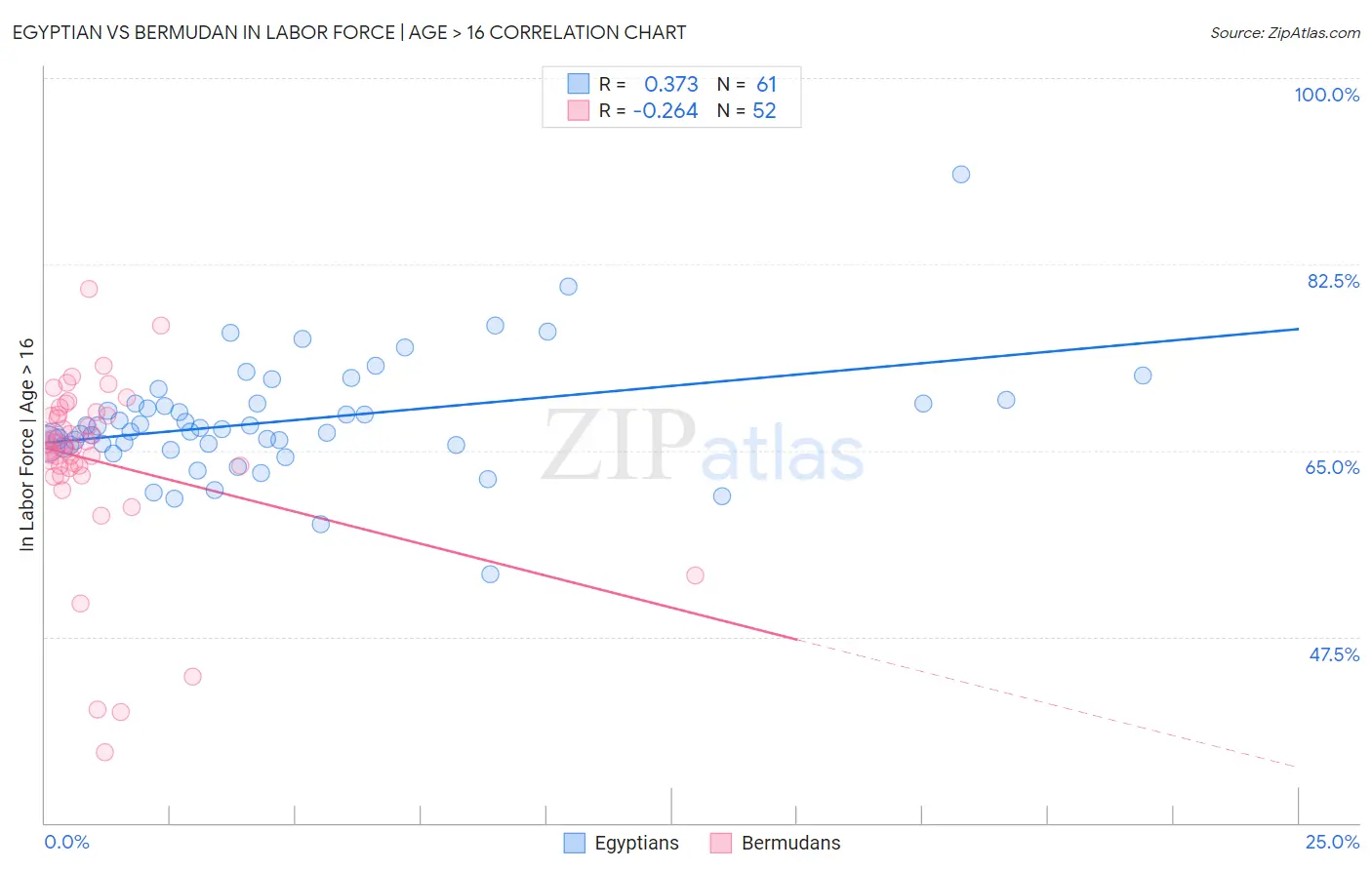 Egyptian vs Bermudan In Labor Force | Age > 16