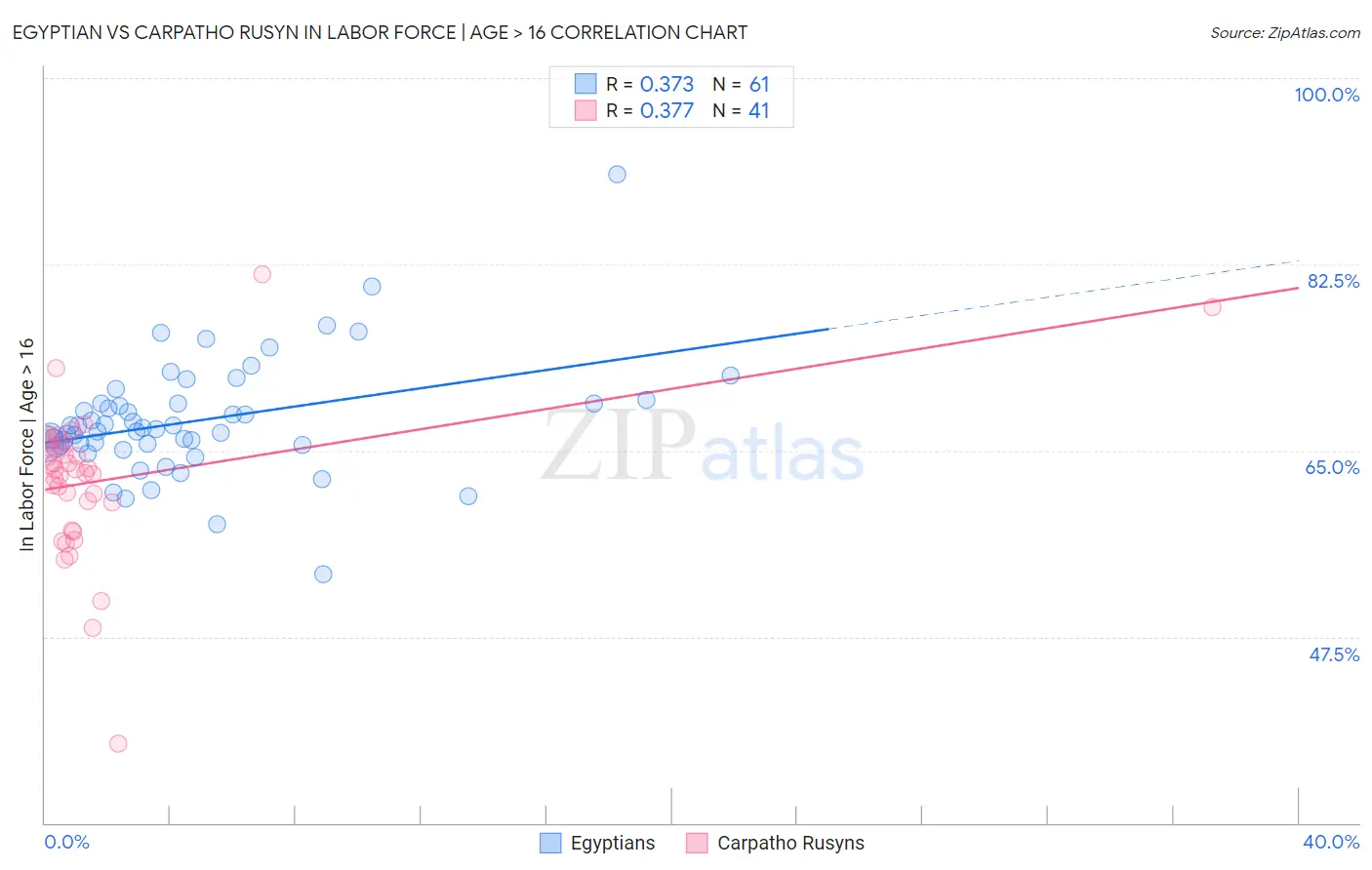 Egyptian vs Carpatho Rusyn In Labor Force | Age > 16