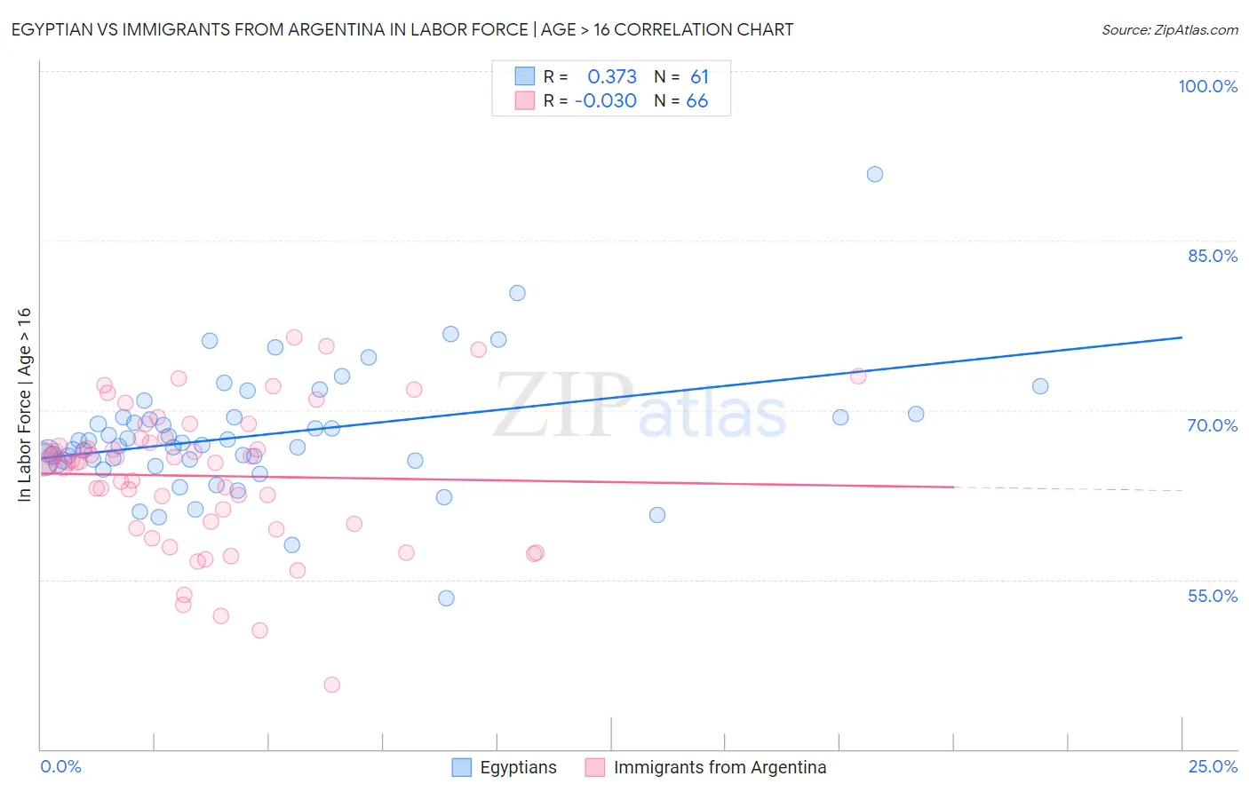 Egyptian vs Immigrants from Argentina In Labor Force | Age > 16