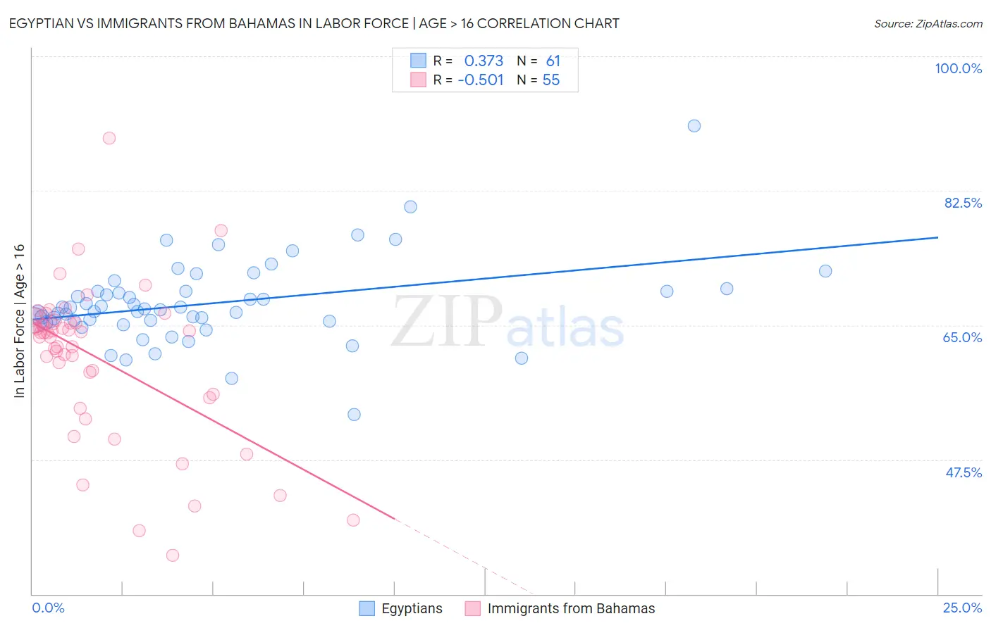 Egyptian vs Immigrants from Bahamas In Labor Force | Age > 16