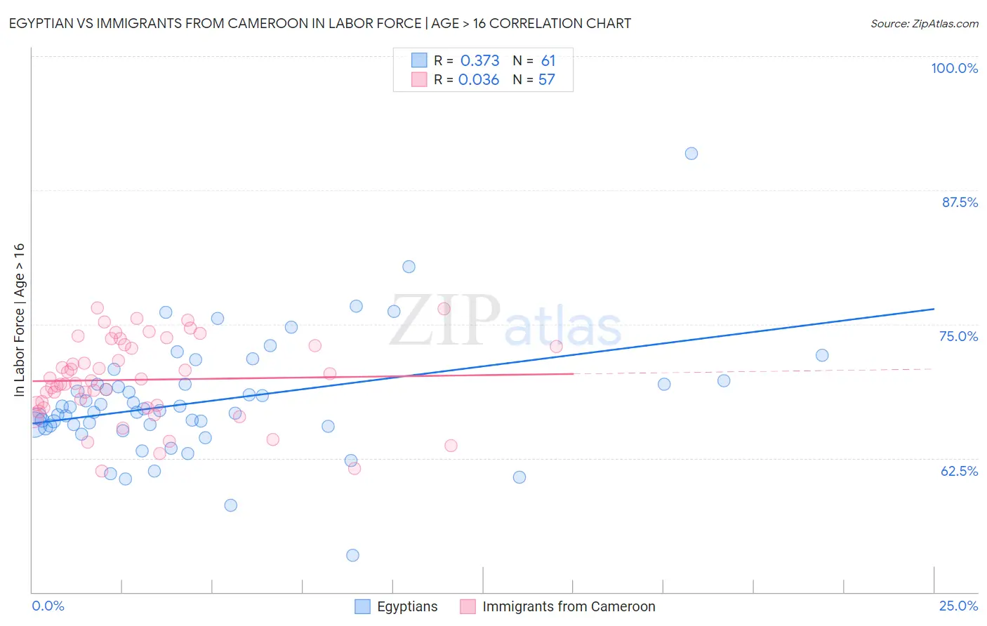 Egyptian vs Immigrants from Cameroon In Labor Force | Age > 16
