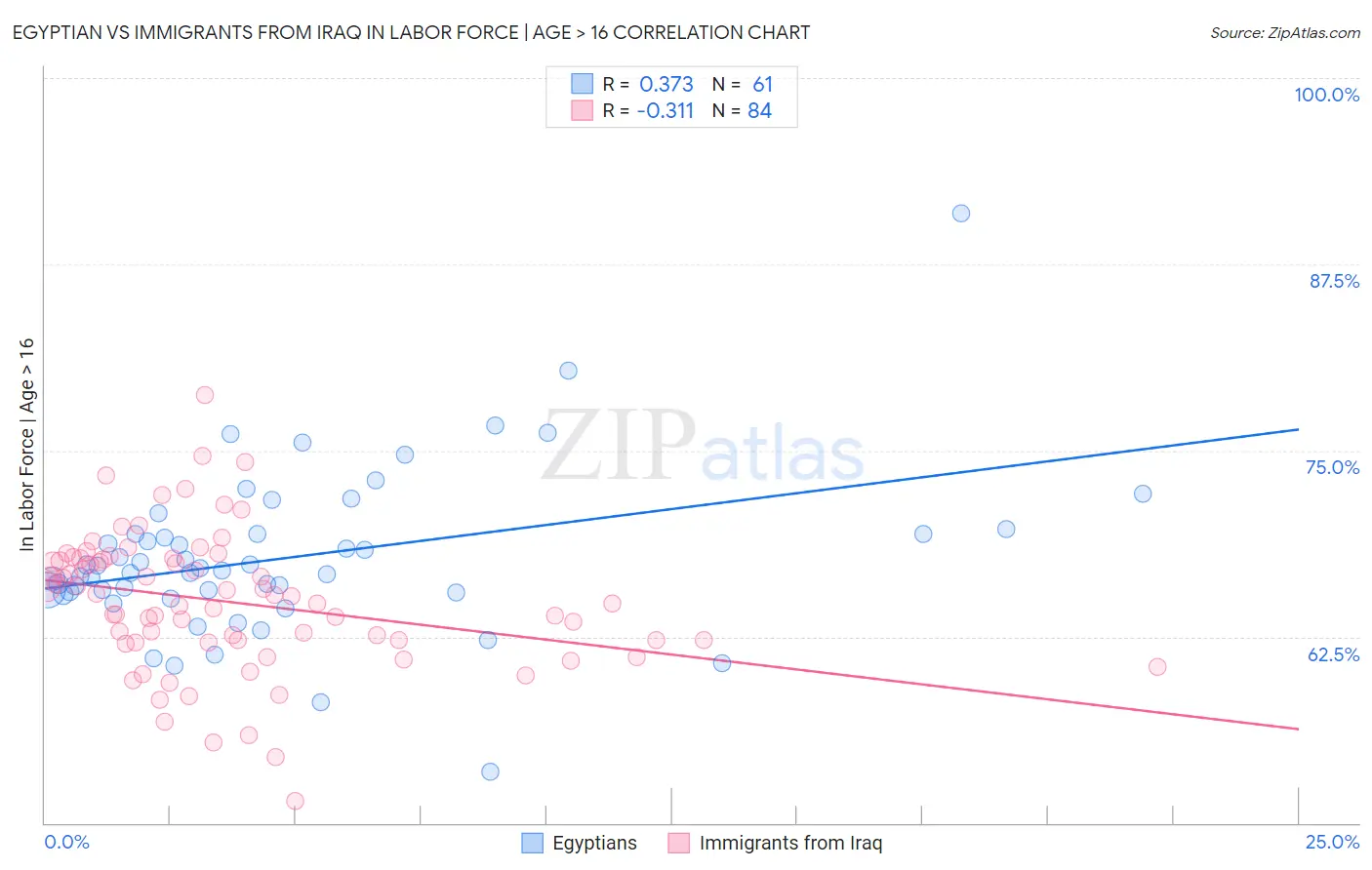 Egyptian vs Immigrants from Iraq In Labor Force | Age > 16
