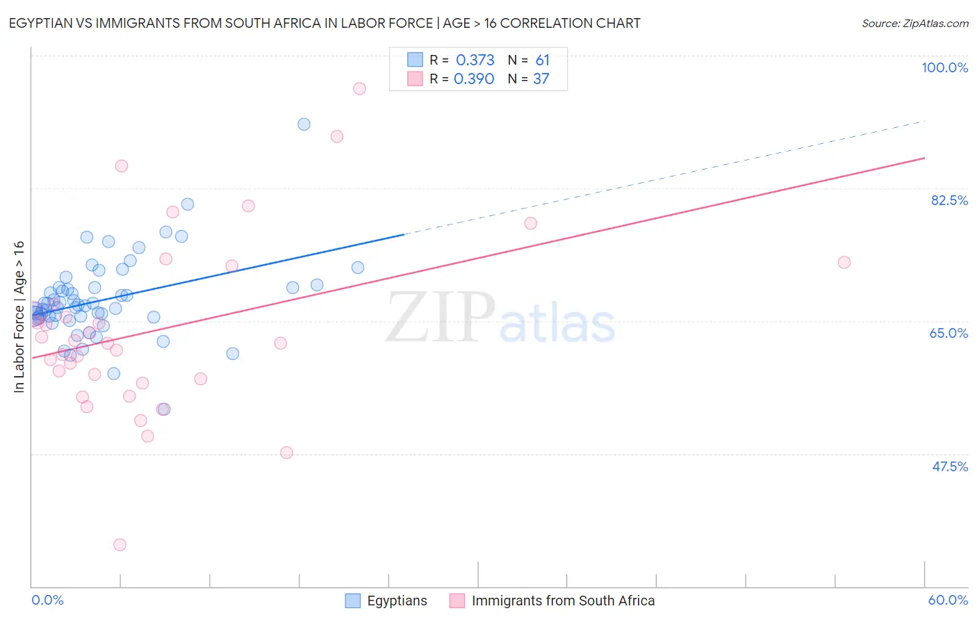 Egyptian vs Immigrants from South Africa In Labor Force | Age > 16