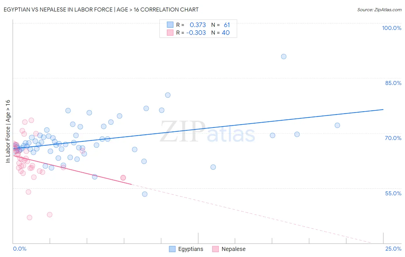 Egyptian vs Nepalese In Labor Force | Age > 16