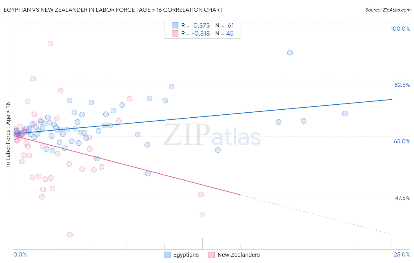 Egyptian vs New Zealander In Labor Force | Age > 16