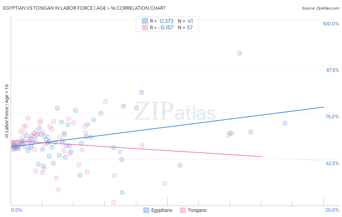 Egyptian vs Tongan In Labor Force | Age > 16