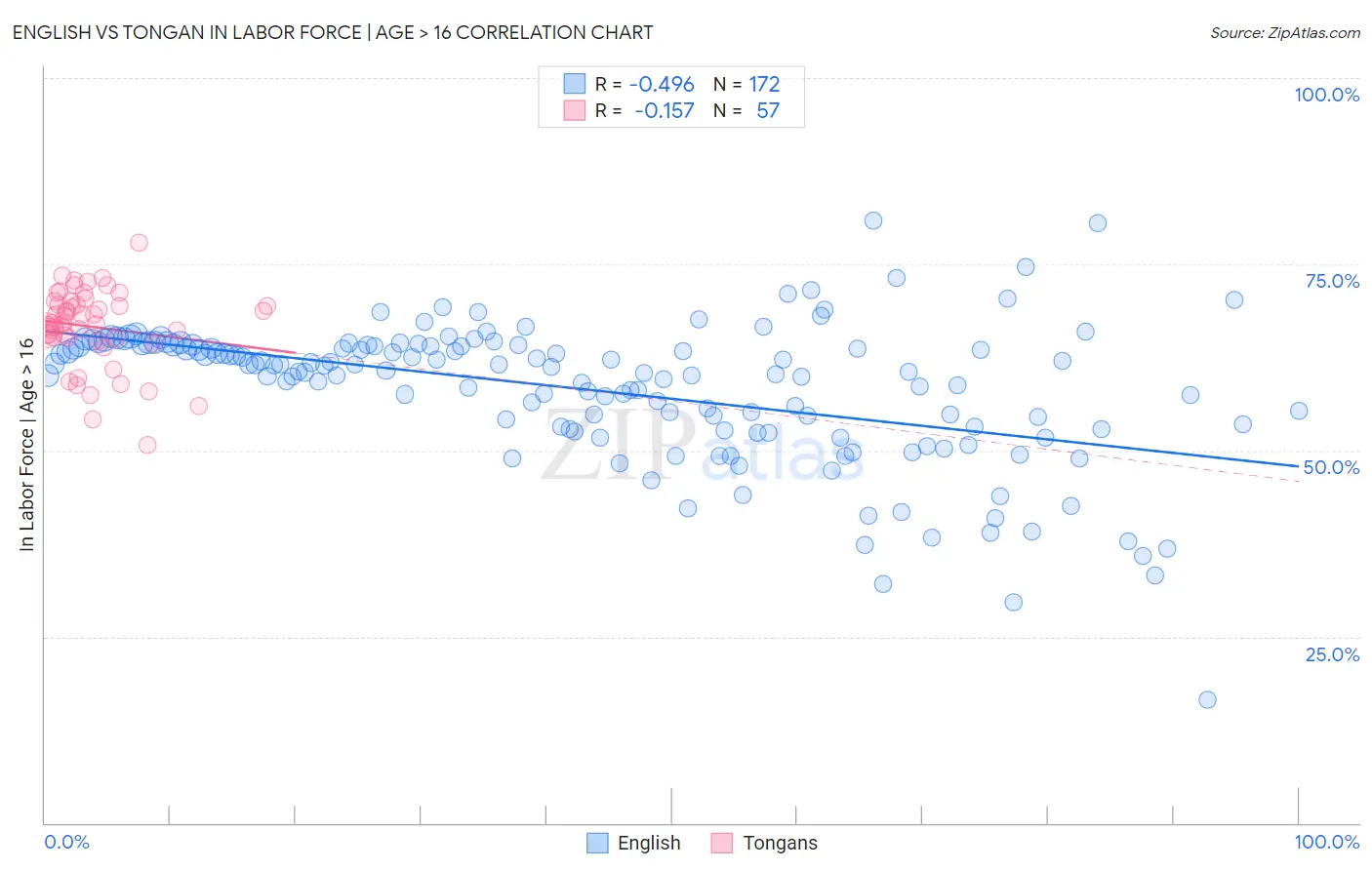 English vs Tongan In Labor Force | Age > 16
